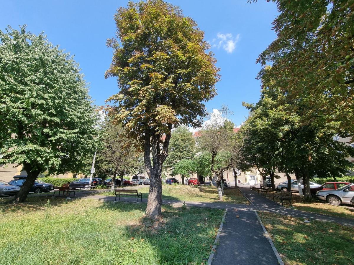 Ultra-Central 1 Bed Apartment, Str Nicolae Iorga Baia Mare Exteriör bild