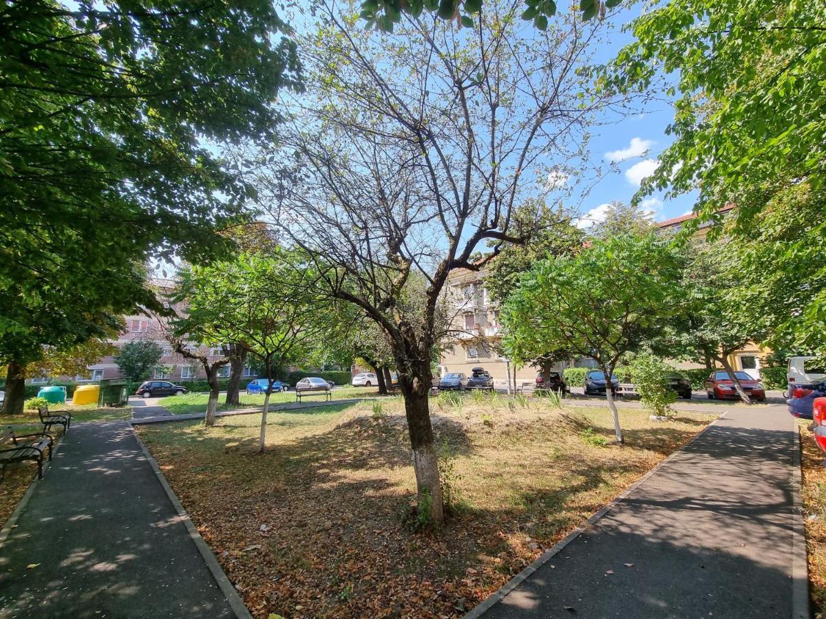 Ultra-Central 1 Bed Apartment, Str Nicolae Iorga Baia Mare Exteriör bild